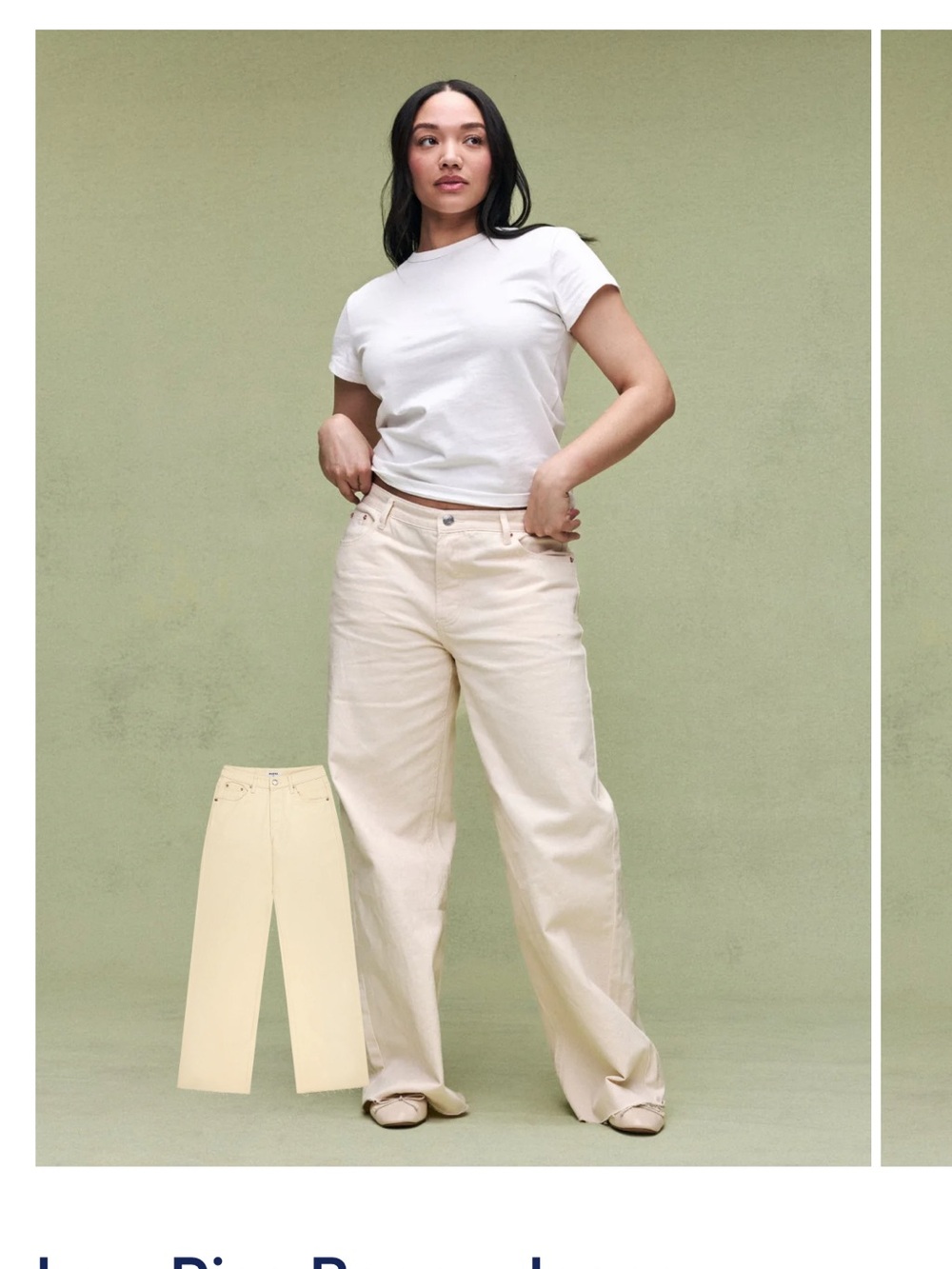 NWT PARKE Low Rise Baggy